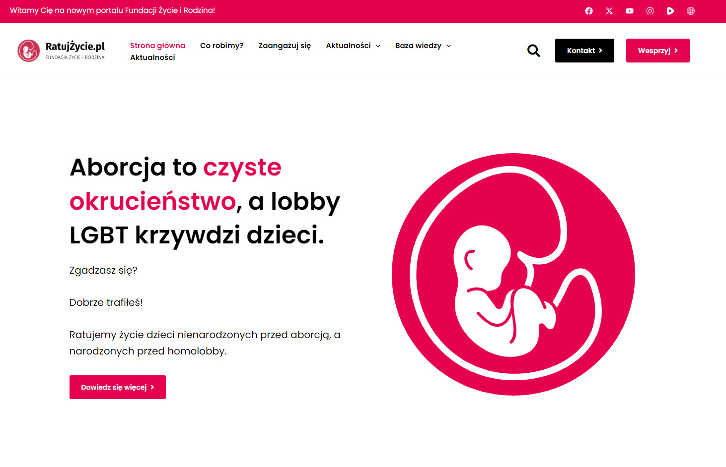 Zmieniająca się rola rodziny we współczesnym społeczeństwie – perspektywa badań i organizacji społecznych